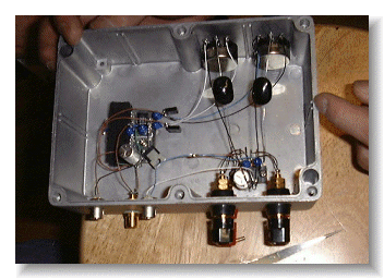 Suzuki IC Amp